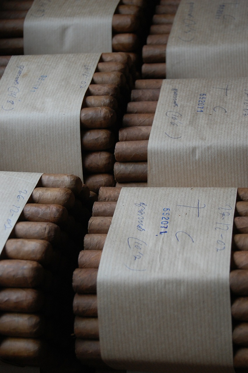 fagot de cigares 